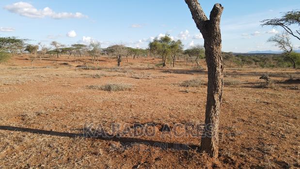 Sajiloni 24 Acre at 1.4m Per Acre - thumbnail 13