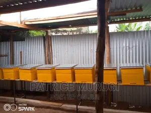 Beehives, Langstroth, Kenya Top Bar Hive