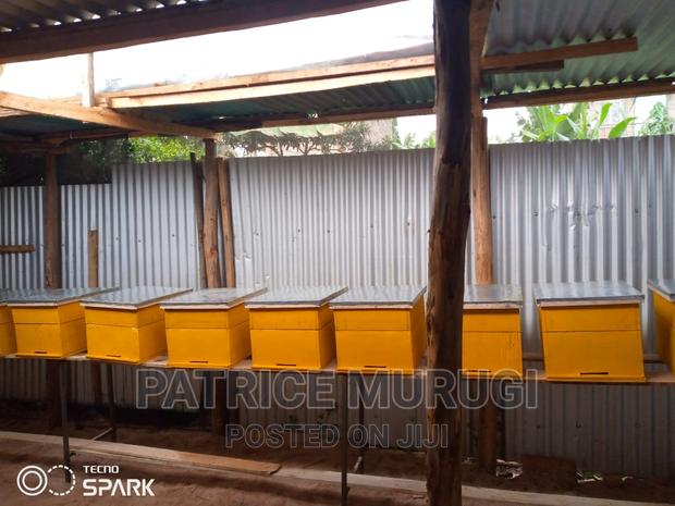 Beehives, Langstroth, Kenya Top Bar Hive