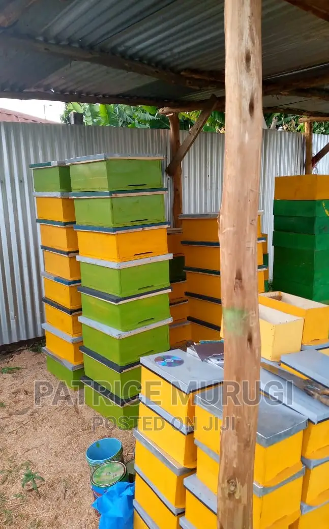 Beehives, Langstroth, Kenya Top Bar Hive