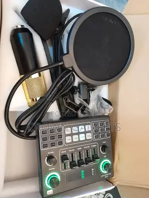 Bm800 Professional Audio V9