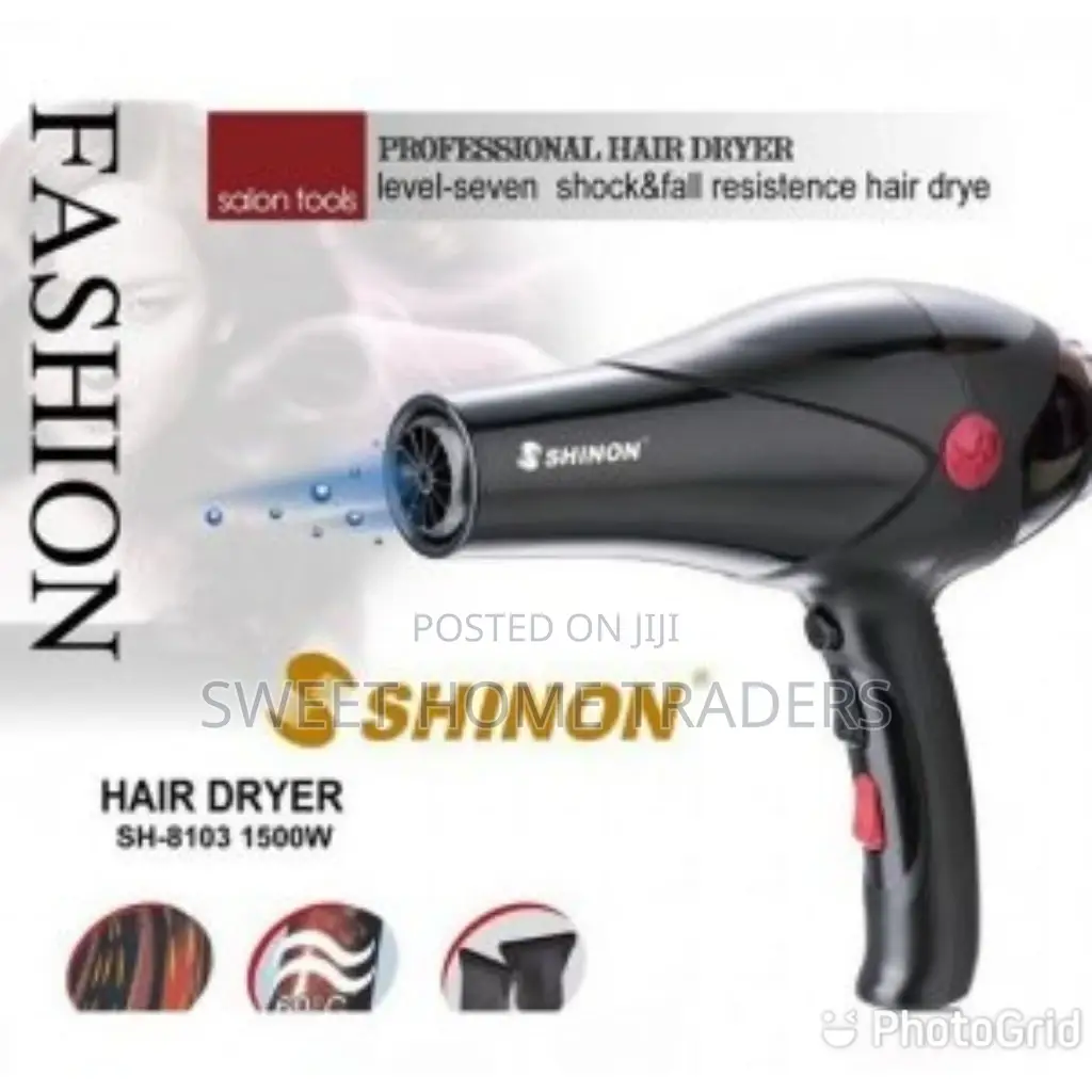 Shinon Hair Dryer