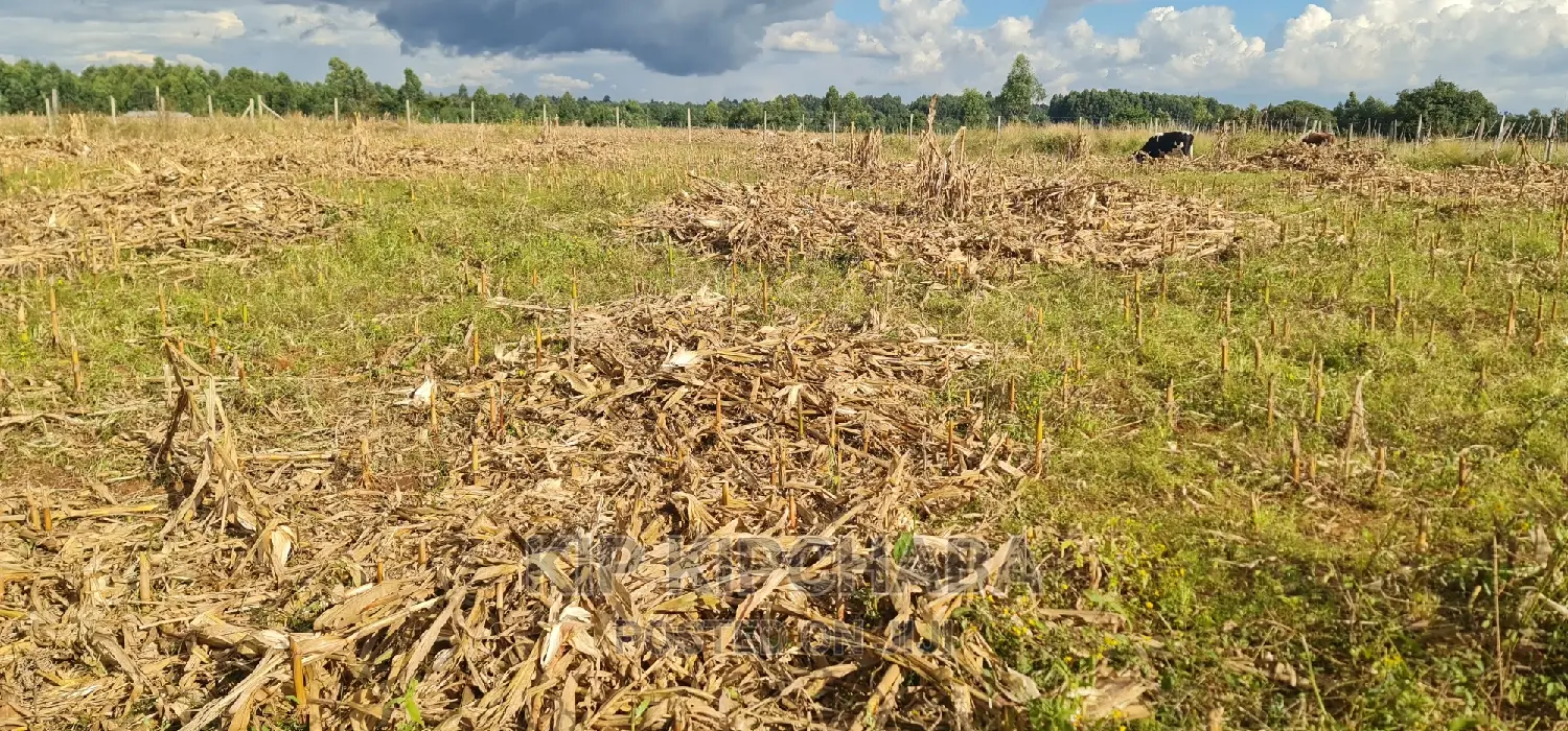 Plot for Sale in Kapseret Lemook Centre in Eldoret