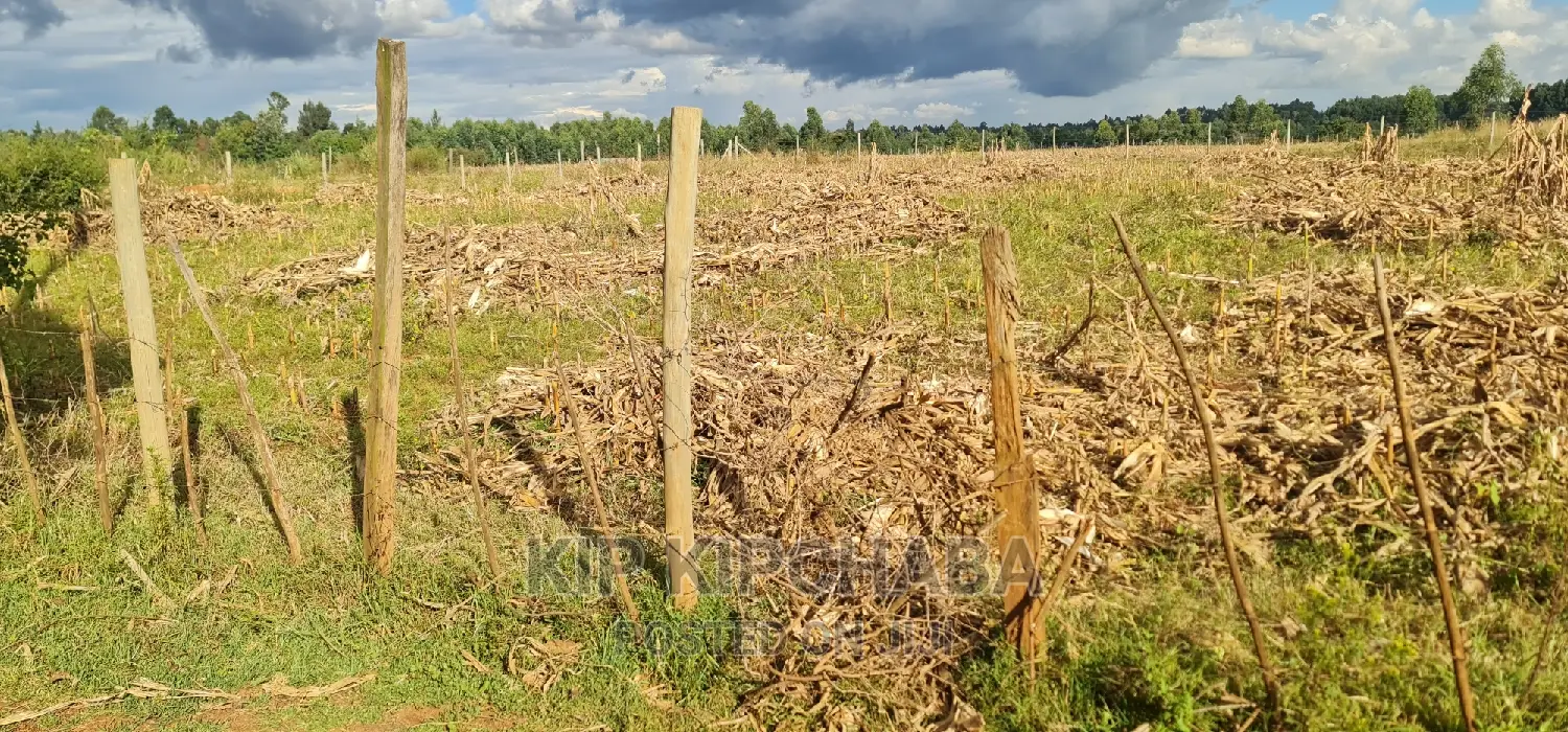 Plot for Sale in Kapseret Lemook Centre in Eldoret