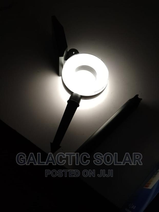 Solar Garden Lights