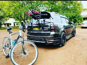 Universal Bike Carriers
