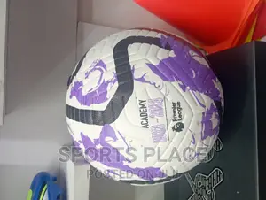 Nike Premier League Ball 2023-24