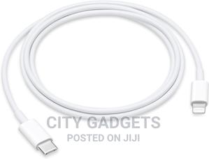 Apple USB-C to Lightning Cable (1 M) - main view