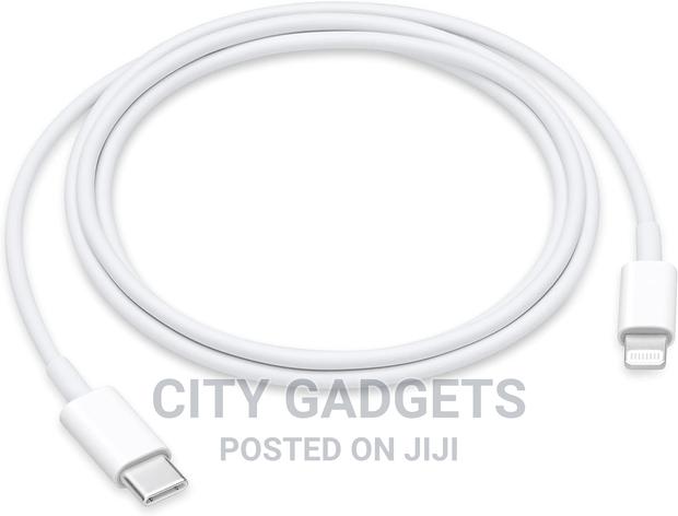 Apple USB-C to Lightning Cable (1 M)
