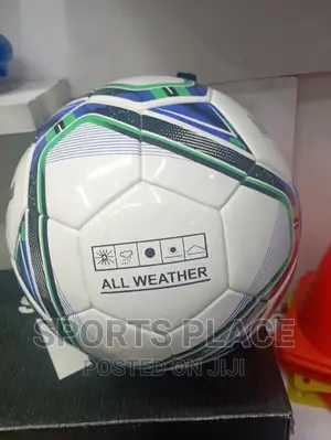 Puma Match/Training Ball