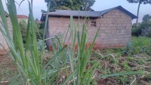 House for Sale In - thumbnail 2