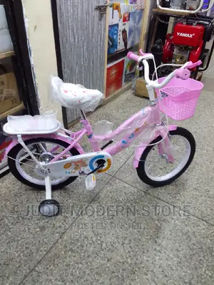 Pink Luta Bike Size 16