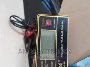 12V 24V Car Battery Charger 10A 250W Trickle Charger
