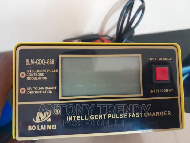 10A 250W Trickle Charger Intelligent Pulse