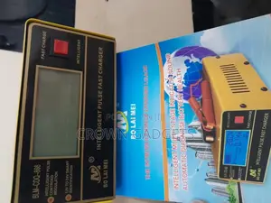 12v/24v Intelligent Car Battery Fast Pulse Charger