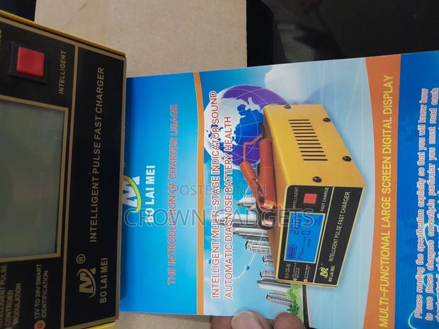 10A 250W Trickle Charger Intelligent Pulse - main view