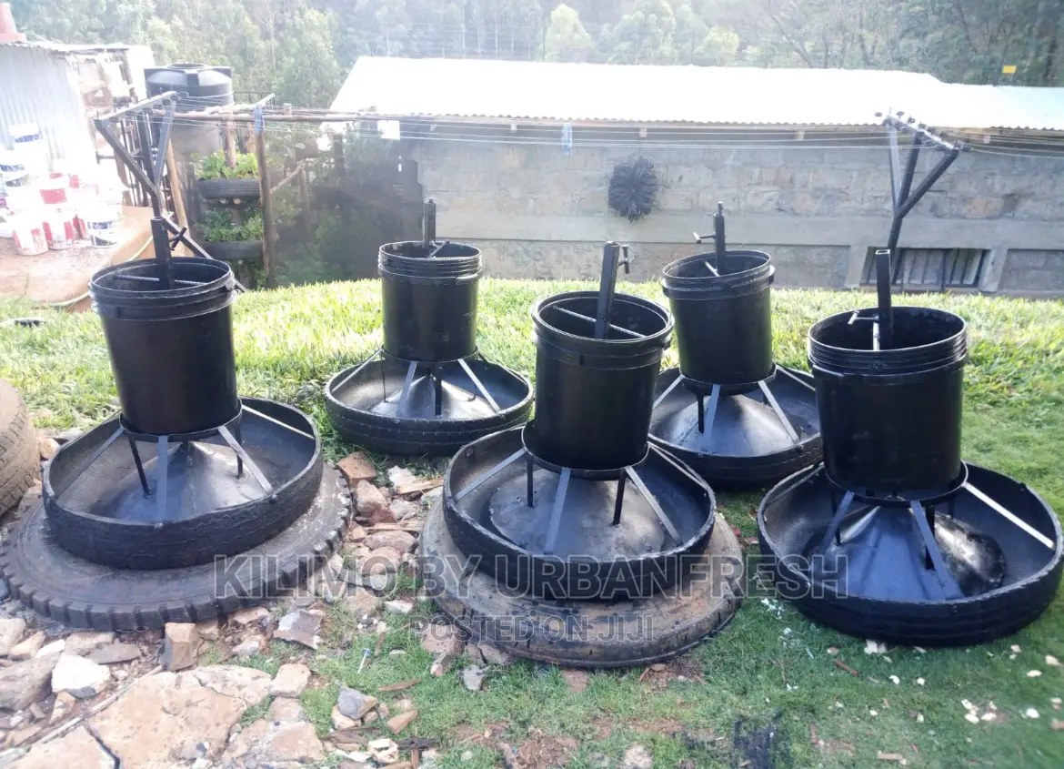 Pig Feeders : Affordable 8 12 Feeder Options