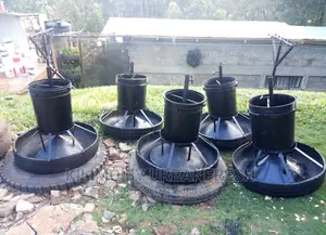 Pig Feeders : Affordable 8 12 Feeder Options