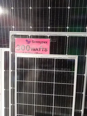 Sunnypex 300watts36v