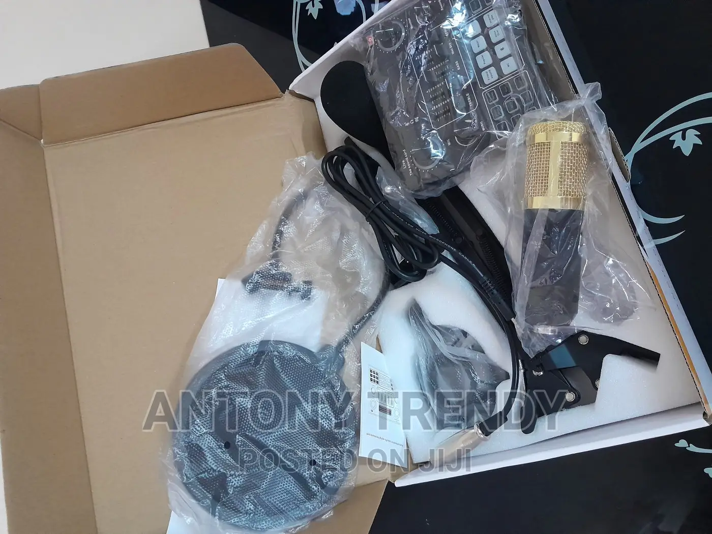 Professional Microphone, for Studio Recording and Broadcasti