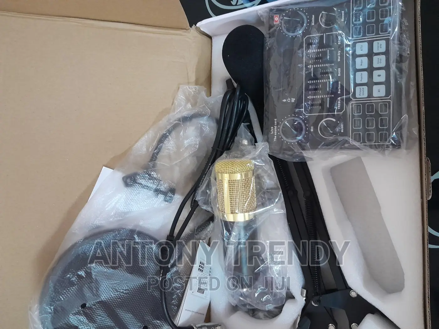 Professional Microphone, for Studio Recording and Broadcasti
