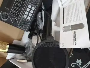PROFESSIONAL Condenser MICROPHONE With V8 Live Sound Card