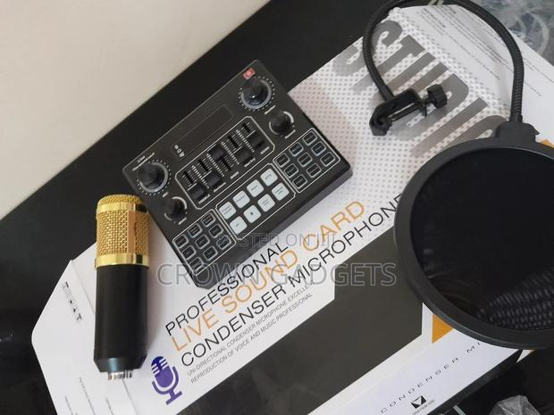 V9professional Microphone, for Studio Recording - main view