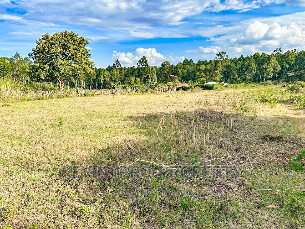 Half Acre Land for Sale in Kikuyu Thogoto