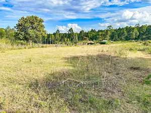 Half Acre Land for Sale in Kikuyu Thogoto