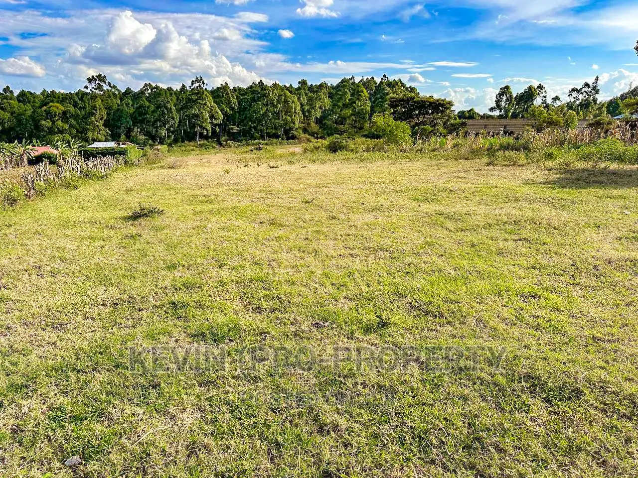 Half Acre Land for Sale in Kikuyu Thogoto