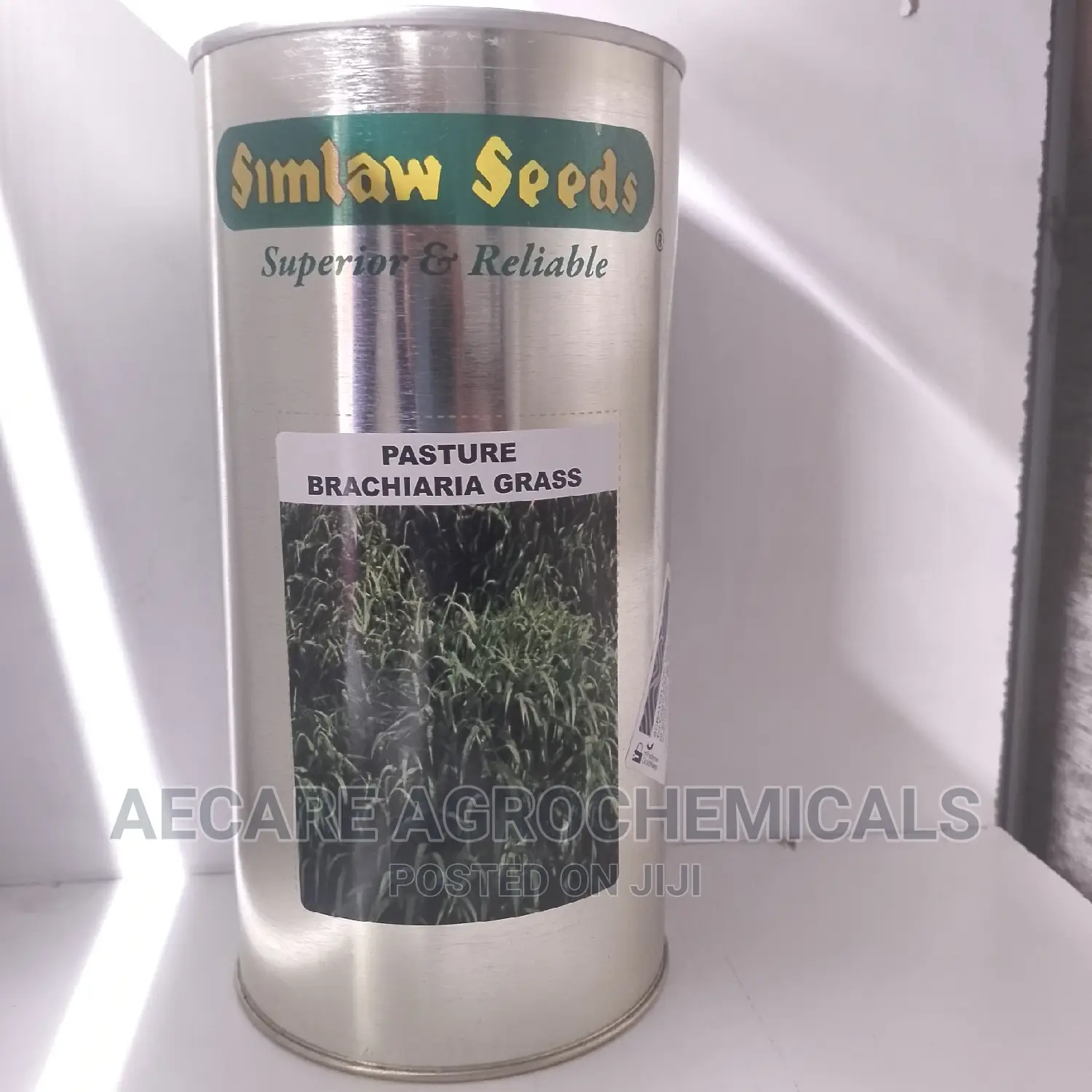 PASTURE BRACHARIA GRASS (Simlaw Seeds) 500grams
