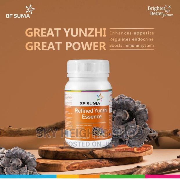 Refined Yunzhi Essence | Natural Energy, Natural Booster