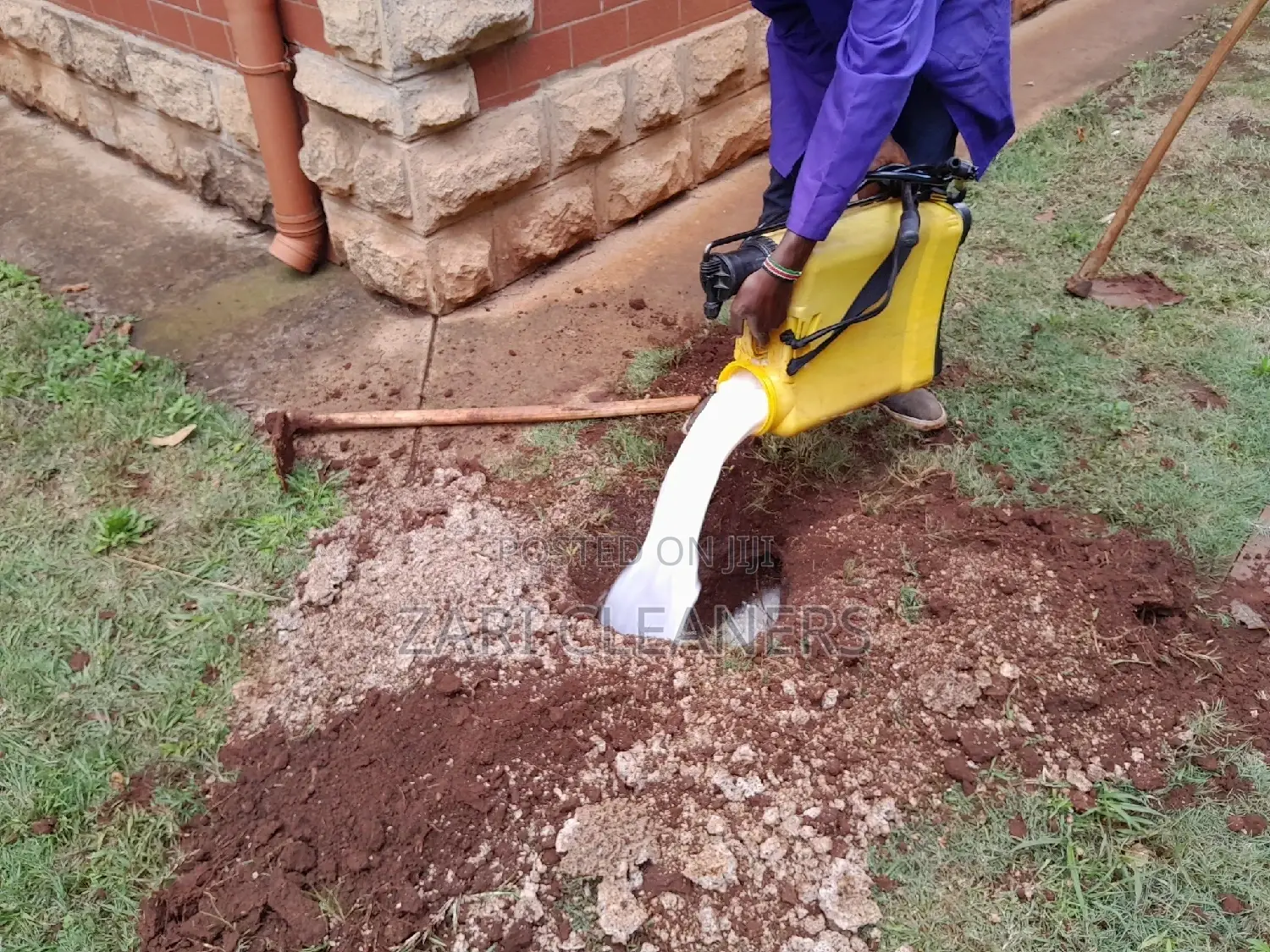 Termites and Queen Removal Fumigation