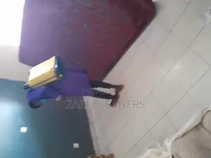 Solid Fumigation Against Cockroaches and Bedbugs