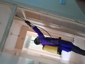 Liquid Fumigation for Removal of Bedbugs and Cockroaches