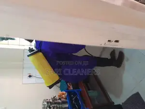 Liquid Fumigation for Removal of Bedbugs and Cockroaches