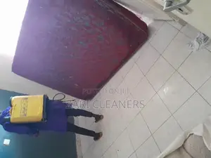Gas Fumigation for Removal of Bedbugs and Cockroaches