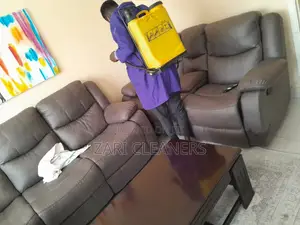 Industrial and Domestic Fumigation Services Against Roaches