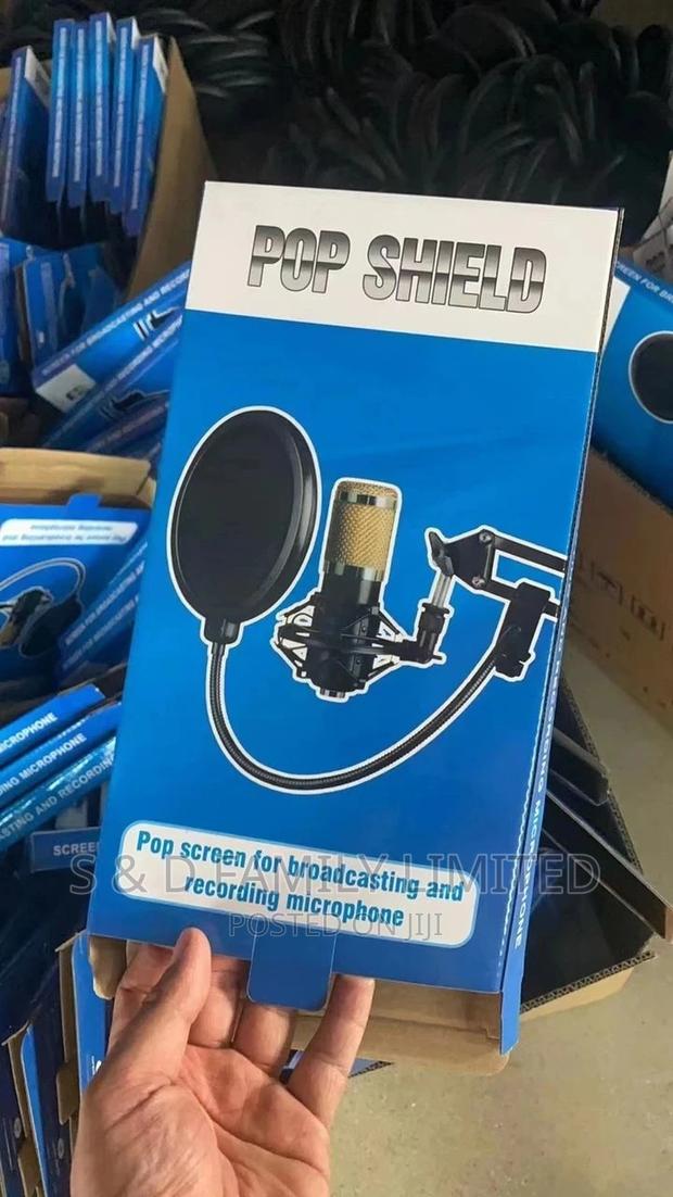 Pop Screen for Broadcasting and Recording Microphone - main view