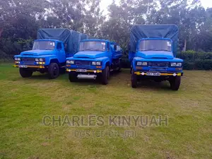 Dong Fang Trucks for Sale