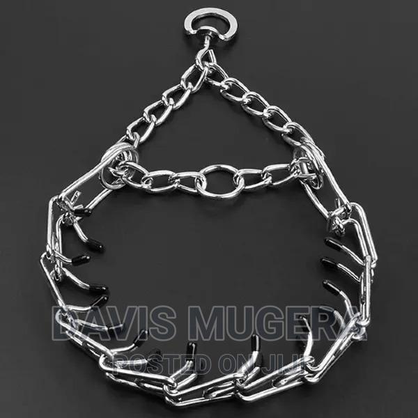 Dog Training Pinch Collar - main view