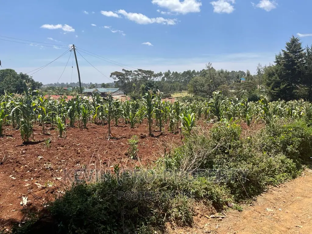 Prime Commercial Plot For Sale In Kikuyu, Gikambura