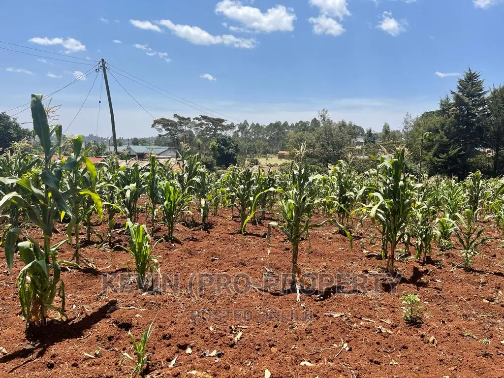 Prime Commercial Plot For Sale In Kikuyu, Gikambura