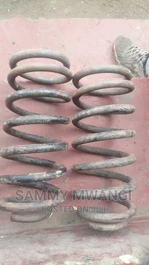 Toyota Probox Sienta Rear Heavy Duty Coil Springs