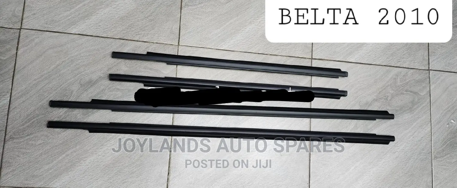 Belta 2010 Weather Strips/Door Mouldings