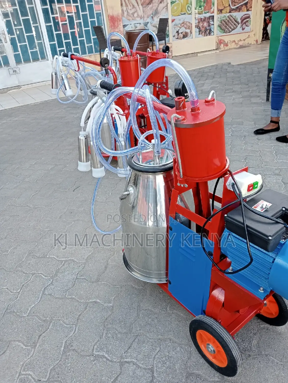 Milking Machine Available (Windsor One Cow)