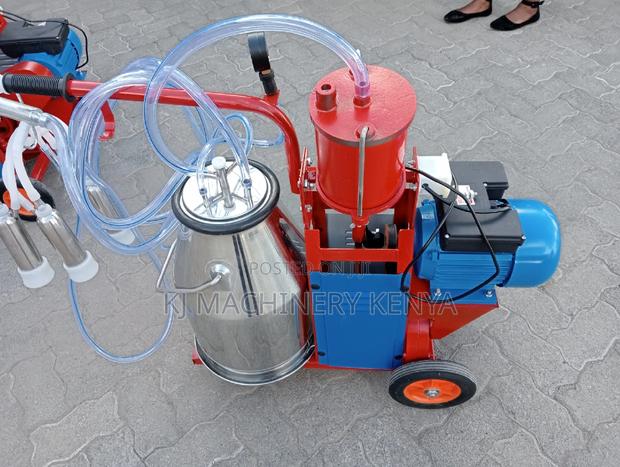 Milking Machine Available (Windsor One Cow) - thumbnail 3