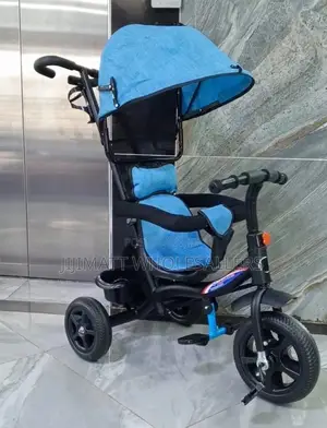 Baby Tricycle With Canopy And Protective Bar