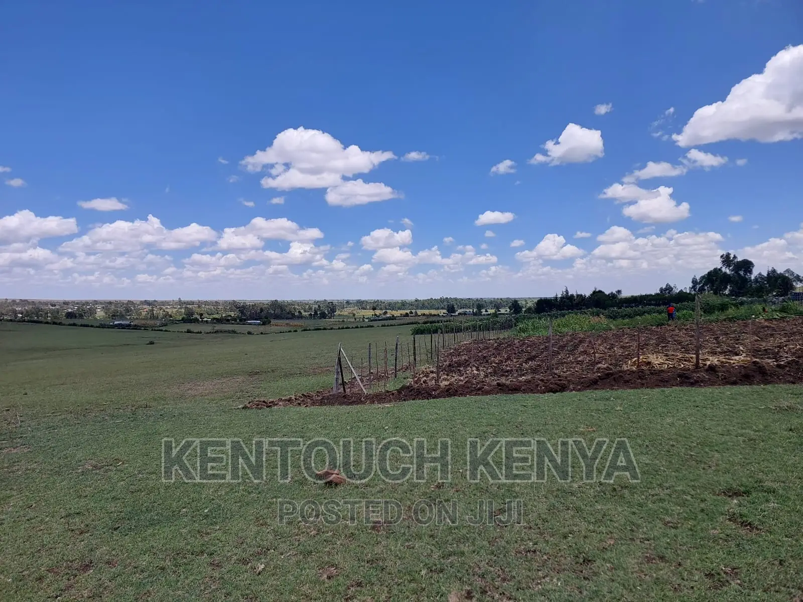 Plots for Sale at Wiyumiririe Makutano (Joswin Academy))