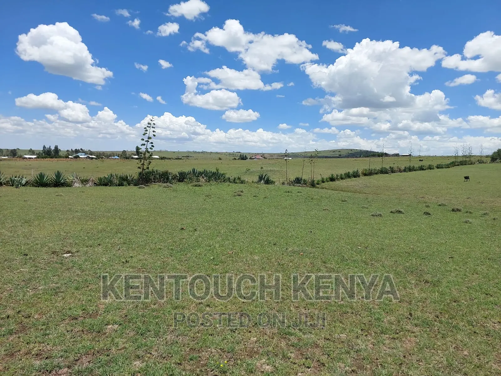Plots for Sale at Wiyumiririe Makutano (Joswin Academy))